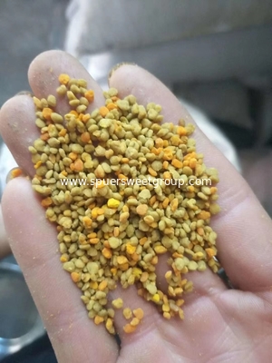 Wholesale 20kg bulk raw pollen mixed bee pollen natural pure wild sunflower