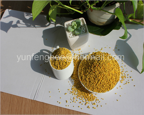 China 100% Natural Low Moisture Human Consumption Pure Rape Bee Pollen Grains