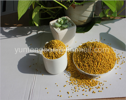 China 100% Natural Low Moisture Human Consumption Pure Rape Bee Pollen Grains