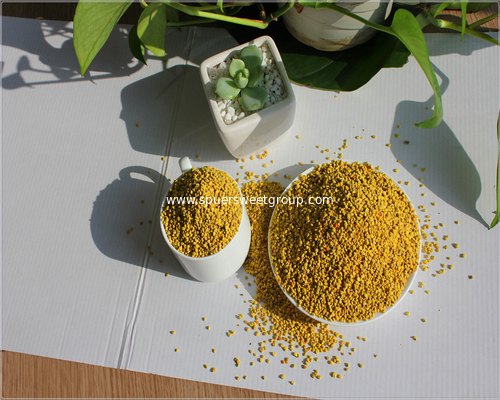 100% china provider natural rape bee grain pollen