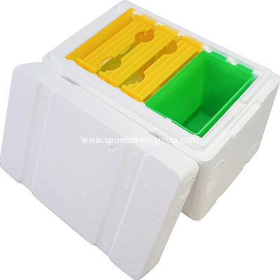 Plastic Mating Nuc bee hives bee breeding box mini foam polystyrene bee box beekeeping starter kit ESP mating