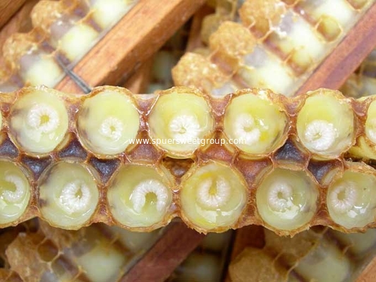 Raw Nature 10-HDA Organic USDA Certified Fresh Royal Jelly