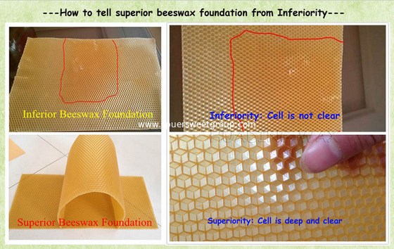 High quality Europe bee comb foundation / beeswax sheet for candle making