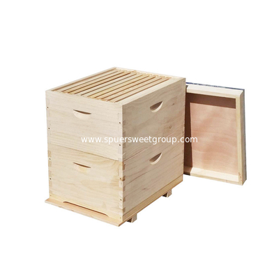 20 frame/box 2 Layers Full Depth Australia Langstroth Beehive with 2 bee boxes made from New Zealand Pine
