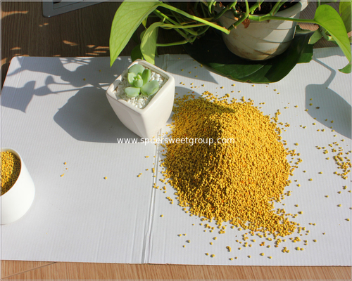 Hot selling Europe and America Rape/Sunflower Bee Pollen Granules