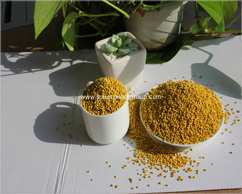 China Producer Qinghai Natural Pure 2016 Fresh Bee Pollen Granules to Korea