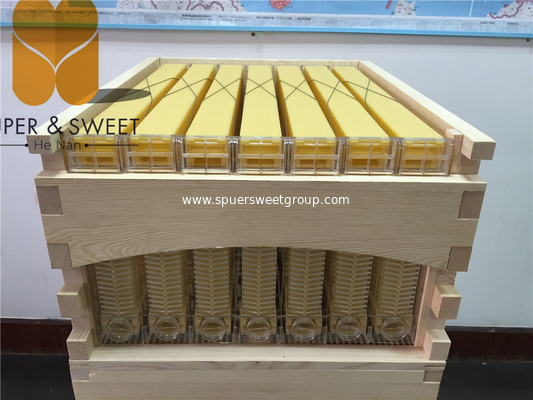 China manufacturer supply high quality 7 flow frames honey hive