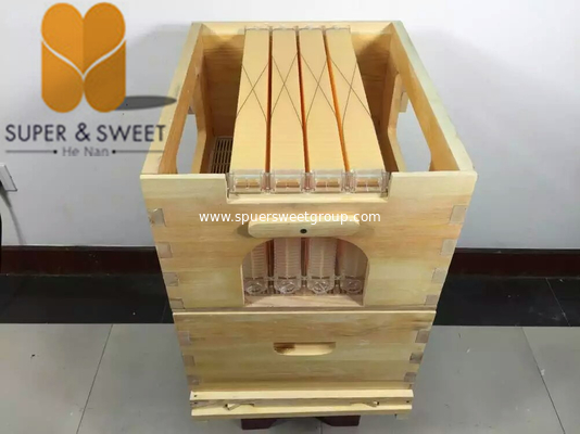 China Manufacturer Automatic 7 frames langstroth Flowing Honey Hive