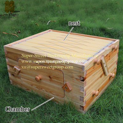 Manufactruer supply china fire&Pine Langstroth hive with 7pcs self-flowing honey hive frames