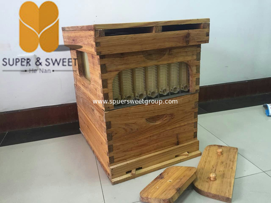 Beekeeping tools langstroth flow wooden hive with flowing honey frames