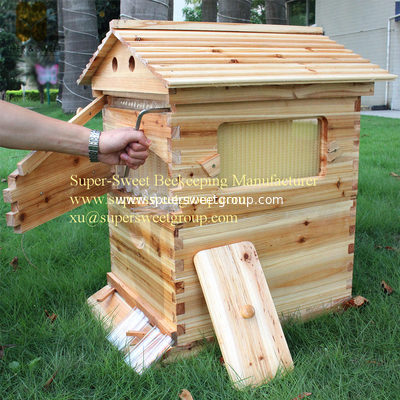 Beekeeping tools langstroth flow wooden hive with flowing honey frames