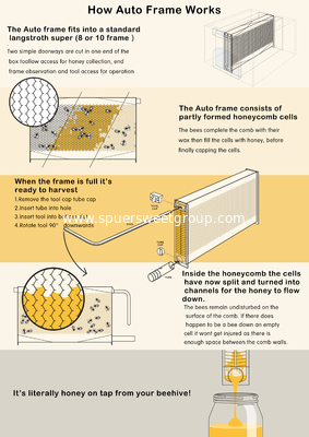 Apiculture tools langstroth Beehive with automatic Flowing honey frames