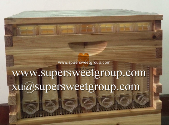 New style bee box automatic flowing honey bee hive wood with frame