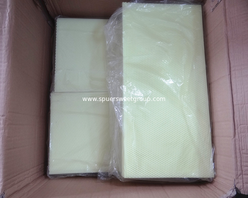 Plastic Honey Comb Bee Foundation Sheet for Beehive