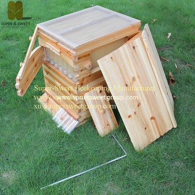 Plastic Self-flowing Honey Frames Frames Producer&Supplier