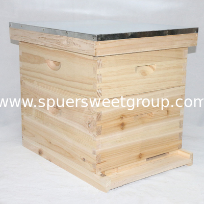 10 frame 8 frame bee hive beehive langstroth high quality fire/pine wooden