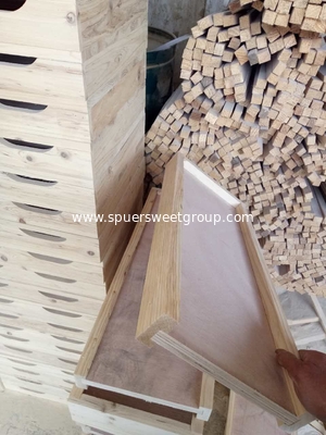 Beekeeper 5 Frames Wooden Bee Nuc Boxes for queen bees