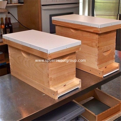 beekeeping manufacturers bee wooden Nuc box beehive for sale