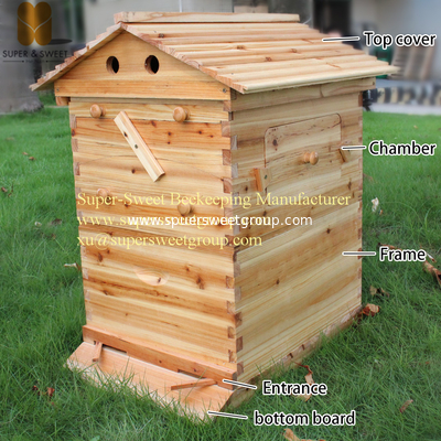 7 Frames Automatic Honey Self Flow Beehive Wooden Langstroth Bee Hive