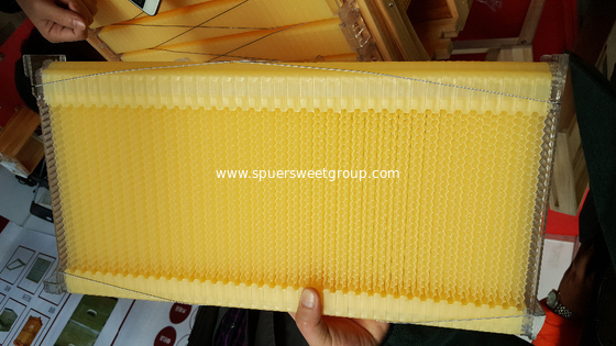 Auto Honey Flow Bee Hive Plastic Frame Food Grade Flow Beehive Frame Price