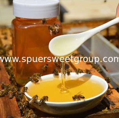 Pure Raw Natural Unfiltered Wildflower Blossom Honey Premium Quality Bee Honey From Mountain Forests