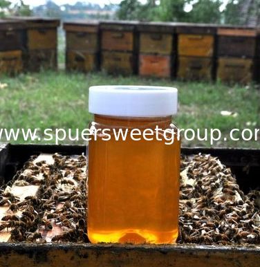Chinese White Linden Honey 100% Natural Factory Directly Provided Honey With Best Price