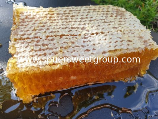 100% Pure Combing Honeycomb Airtight Food Grade Raw Honeycomb Taste Crunchy Chewy Jujube Honey Nature Unprocessed Bottle