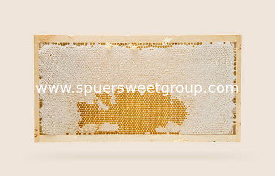 Premium Raw Edible Square Beehive Honey Comb Natural Unfiltered Pure Wild Mountain Flower Honey 100% Original Wholesale