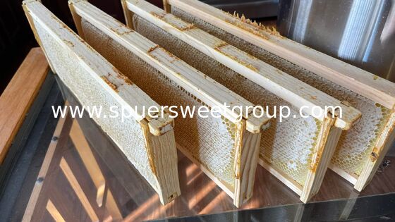 Natural Raw Honeycomb Honey Pure Organic Multiflower Bulk Wholesale Edible Honey Comb with Whole Frame 2kg From Wild Cultivation