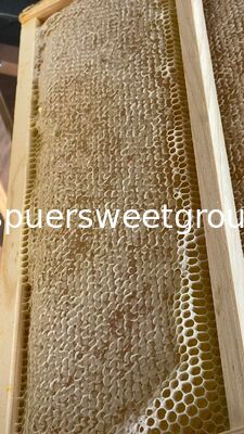 100% Natural Raw Honeycomb From China Sweet Taste Pure Wild Beehive Honey High Quality Bulk Sale With Whole Frame 2kg