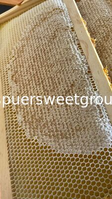 Raw Edible Honeycomb Natural Unfiltered Honey 100% Fresh Multiflower Bulk Organic Comb Honey with Whole Frame Wholesale Supplier