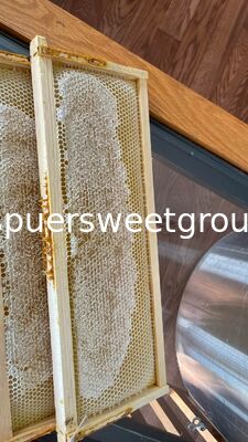 Natural Raw Honeycomb Honey Pure Organic Multiflower Bulk Wholesale Edible Honey Comb with Whole Frame 2kg From Wild Cultivation