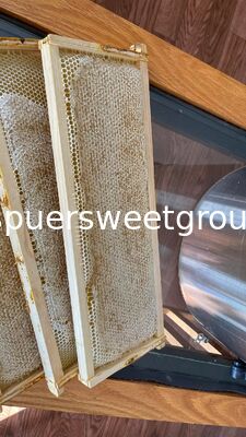 Premium 100% Natural Raw Wild Honeycomb Beehive Honey Pure Unfiltered Fresh Direct From Beekeepers with Whole Frame 2kg