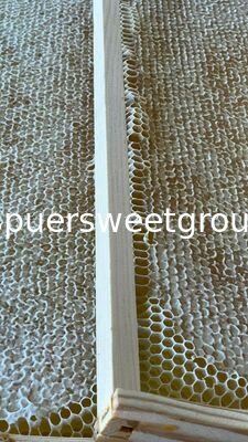 Best Quality Natural Raw Honeycomb Edible Wildflower Honey 100% Pure Bee Farm Halal ISO Certified Bulk 2kg Whole Frame Beehive