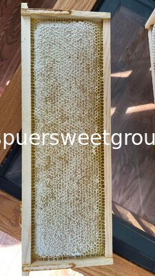 Best Quality Natural Raw Honeycomb Edible Wildflower Honey 100% Pure Bee Farm Halal ISO Certified Bulk 2kg Whole Frame Beehive