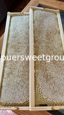 Whole Frame Raw Bee Honeycomb All Natural 100% Pure Sidr Wildflower Honey High Purity Edible 2kg Direct From Bee Farm