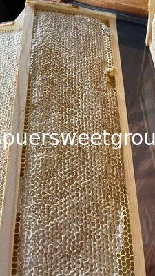 Raw Edible Honeycomb Natural Unfiltered Honey 100% Fresh Multiflower Bulk Organic Comb Honey with Whole Frame Wholesale Supplier