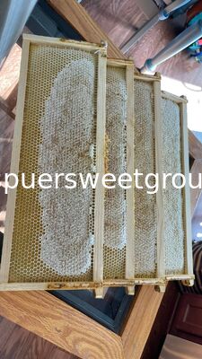 100% Organic Pure Natural Raw Honeycomb Bulk Wholesale Fresh Comb Honey with Whole Frame From China Wild Bees Premium Quality