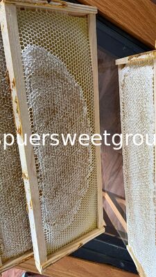 Premium Raw Pure Bee Honeycomb with Whole Frame 2kg 100 Percent Natural Food Grade High Quality Wholesale Natural Origin