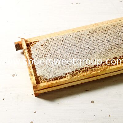 Premium Wholesale All Natural Raw Honeycomb 100 Pure Edible Beehive Honey Comb From Wild Multiflower Bee Honey with a Frame