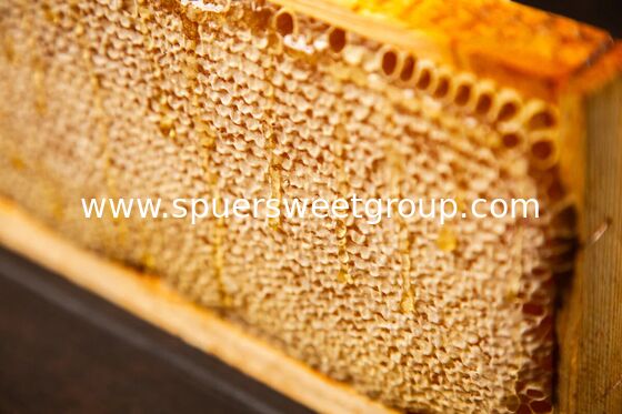 Natural Raw Honeycomb Honey Pure Organic Multiflower Bulk Wholesale Edible Honey Comb with Whole Frame 2kg From Wild Cultivation