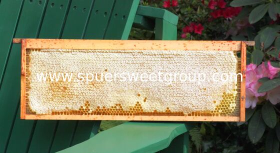 beehive honey All Natural Raw Honeycomb 100% Honey Pure  a whole frame Raw Honey Comb All Natural Edible Honey Combs Raw Edible