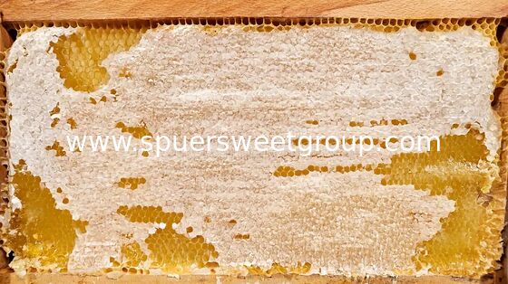 Natural Raw Honeycomb Honey Pure Organic Multiflower Bulk Wholesale Edible Honey Comb with Whole Frame 2kg From Wild Cultivation