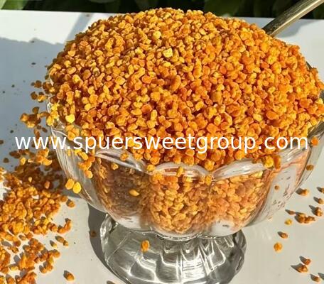 China Bee Pollen Granules Beekeeping Sunflower Pollen / Pure Bee Pollen