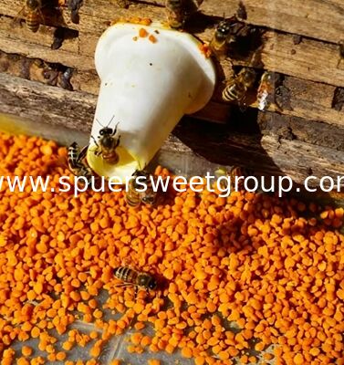 Premium Supplier 100% Pure Natural Tea Bee Pollen Granules Raw Unprocessed Food Grade Bulk for Immune Support