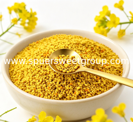 Wholesale Top Quality 100% Pure Natural Raw Rape Bee Pollen Granules Food Grade Bulk for Health Dietary Supplements