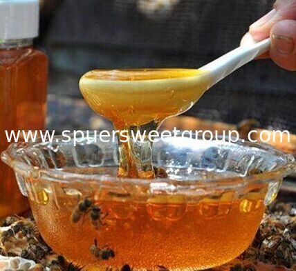 Wholesale Top Grade 100% Pure Natural Raw Unfiltered Mature Sidr Honey Halal Food Grade Bulk 28kg for Daily Immune Support