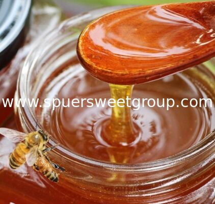 Wholesale Top Grade 100% Pure Natural Raw Unfiltered Mature Sidr Honey Halal Food Grade Bulk 28kg for Daily Immune Support