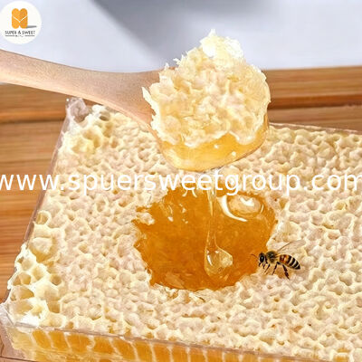 Wholesale Premium 100% Pure Natural Raw Edible Honeycomb 500g Box HACCP Certified Gourmet Superfood for Bakery Retail