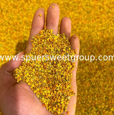 Wholesale Food Grade 100% Pure Natural Premium Fresh Sunflower Mixed Bee Pollen Powder Organic Health Supplement Bulk Sale